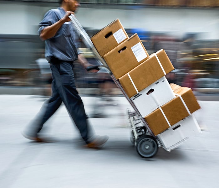 articoli-per-animali-da-compagnia-e-da-allevamento